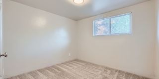 Alpine Flats Gallery 35