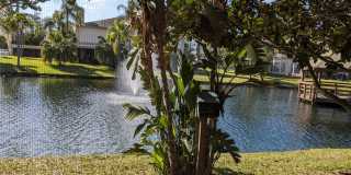 46 EMERALD BAY Drive Gallery 19