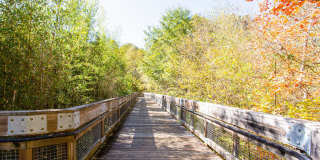 Preserve at Mill Creek Gallery 5