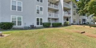 Piccadilly Gallery 18