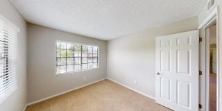 Cypress Run Gallery 37