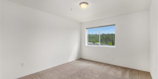 River View Collection Gallery 20