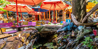 Delaire Landing Gallery 71