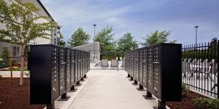 Trio Pointe Gallery 39