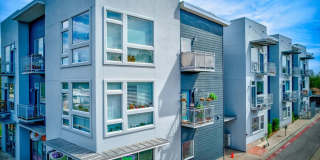 2931 E 12th Street #306 Gallery 22