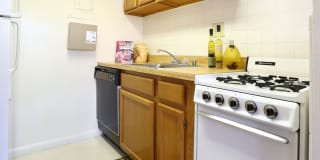 Belcrest Plaza Gallery 4