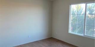 14279 Wildcat Gallery 15