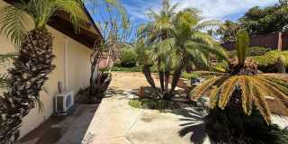 Newly Renovated 4 Bedroom Residence in La Jolla Gallery 29