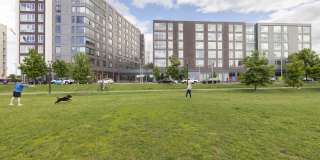 Continuum Gallery 19