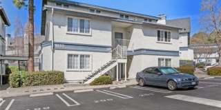 1037 Southwood Dr Apt D 1037 Southwood Dr Apt D Gallery 1