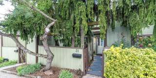 31 TAHOE Gallery 1