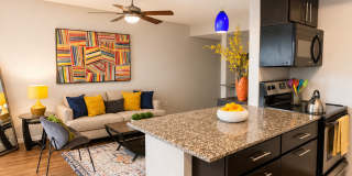 Element Austin Apartments Element Austin Apartments Gallery 1