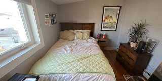 Inman Sq Somerville 2bed / 1bath with laundry in unit - no broker fee - Sept 2026 move in Gallery 10
