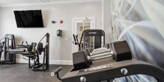 Sofi Danvers Gallery 23