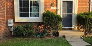 13 WELLSPRING Circle Gallery 1