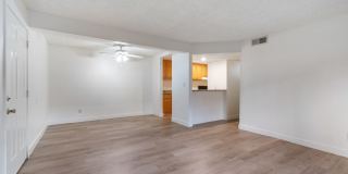 Prospera Village Gallery 1