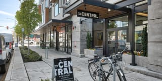 Central Gallery 15