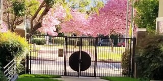 Parc Pointe Apartments Gallery 40