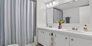 3001 W Rolling Hills Circle Gallery 26