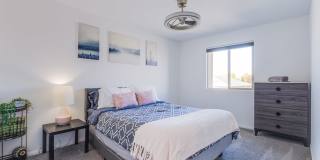 5215 Lissome Lily Court Gallery 29