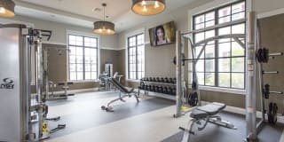 Shalimar at Davie Gallery 12