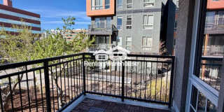 275 South Harrison Street Gallery 12