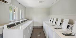 The Palms at Countryside Apartments Gallery 12