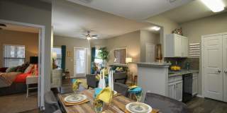 Hollow Tree Park Gallery 20