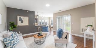 Webster Woods Gallery 1