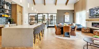 Trailwinds Grapevine Gallery 63