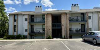 3551 Timberline Trail Gallery 2