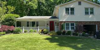 10320 COLLINGHAM Drive Gallery 1