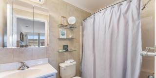 32 Webster Avenue Gallery 11