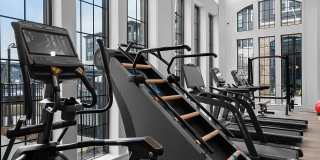 Lively at Drayton Mills Gallery 34