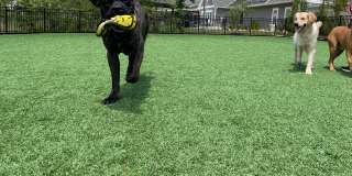 Wren | 3 Bed 2.5 Bath | Garage | 1729 sf | $2831 - $3114 | 8, 9, 10, 12, 14, and 15 month lease terms Gallery 57