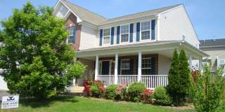 8 FOGGY FIELD Lane Gallery 1