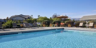Pine Valley Ranch Gallery 10