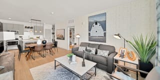 Camber Apartments Gallery 29