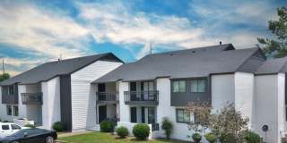 The Dawson Gallery 26