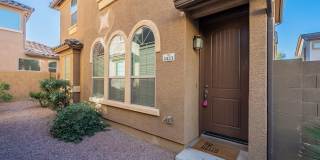 Brand new carpet and paint Gallery 1