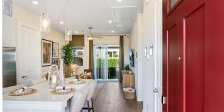 Yardly Beltmill Yardly Beltmill Gallery 2