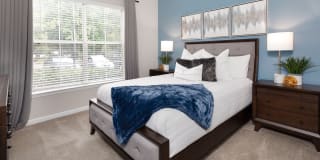 Cavalier @ 100 Gallery 21