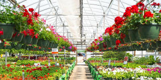 Ltd. Findlay Gallery 29