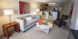 Reserve at Park West Gallery 8