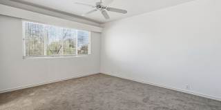 3BR/4BA Professional Retreat with Private Desert Oasis Gallery 29