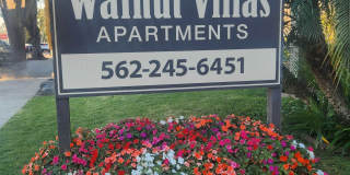 901 North Walnut Street Gallery 1