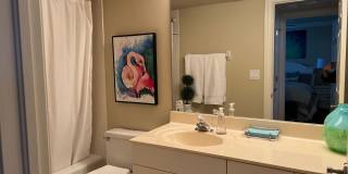 **PELICAN BAY**ST NICOLE**NEWLY FURNISHED**STUNNING SEASONAL OR ANNUAL RENTAL** Gallery 9