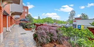 Berkeley Park Gallery 13