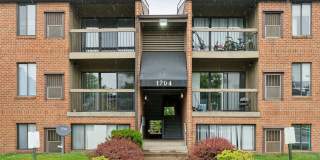 Grove at Alban Gallery 1