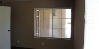 24341 CONEJO Gallery 16
